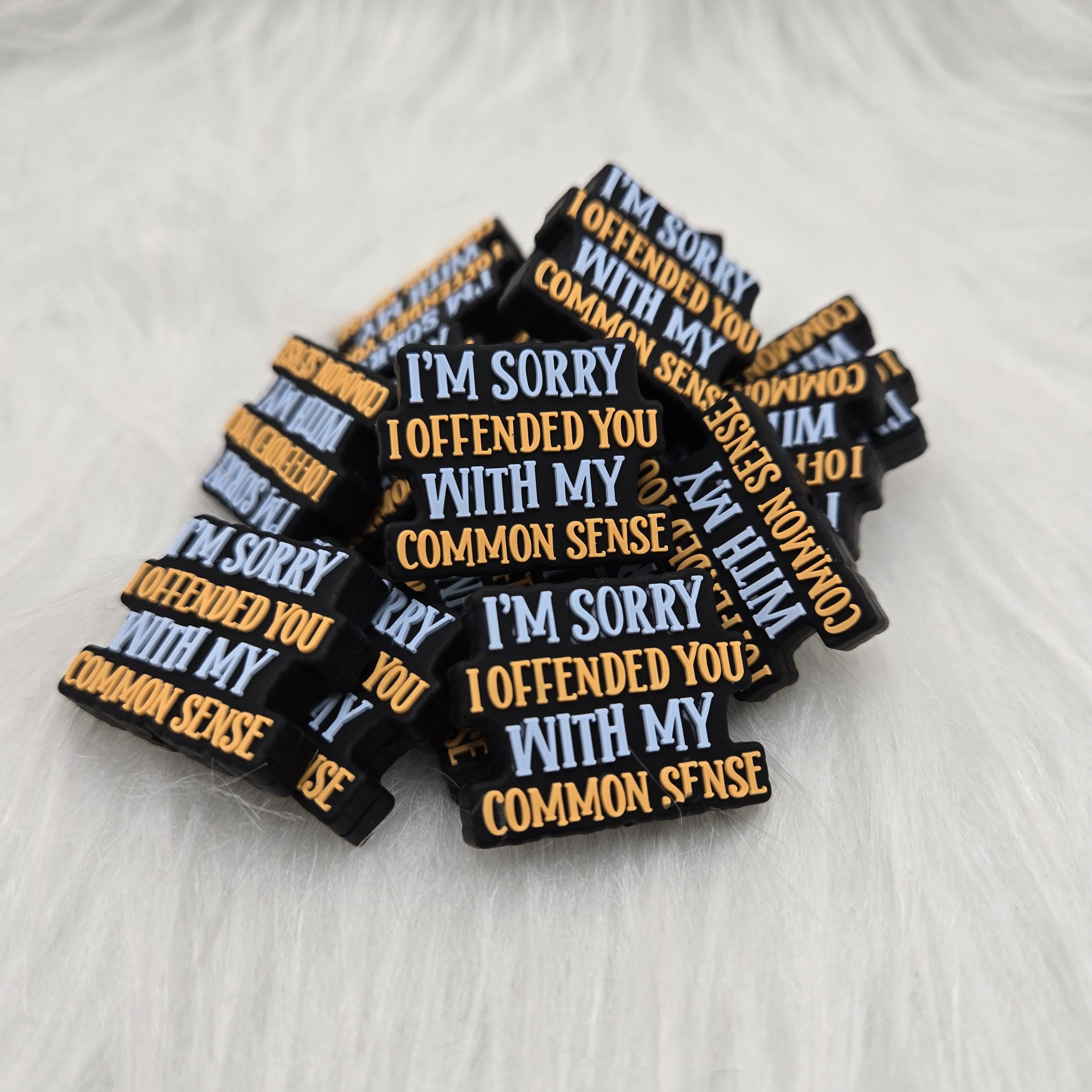 Offended You With Common Sense Focal Bead, Funny Silicone Bead, Beadable Keychain, Beadable Pen, Crafting Supplies, Sarcastic Bead
